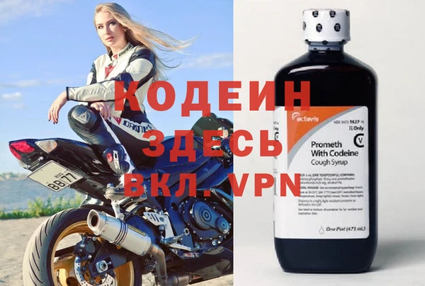 дмт Тавда