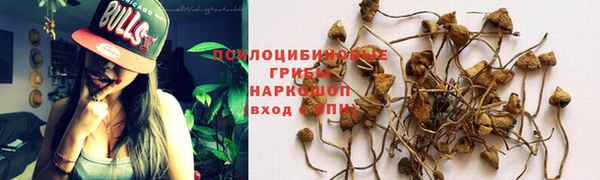 индика Липки