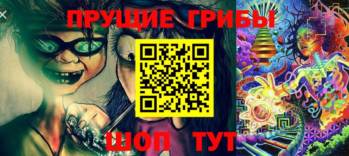 Галлюциногенные грибы Psilocybe Ачинск
