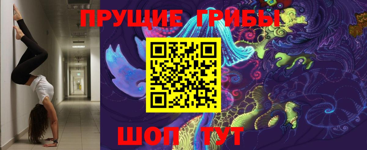 Псилоцибиновые грибы GOLDEN TEACHER Ачинск