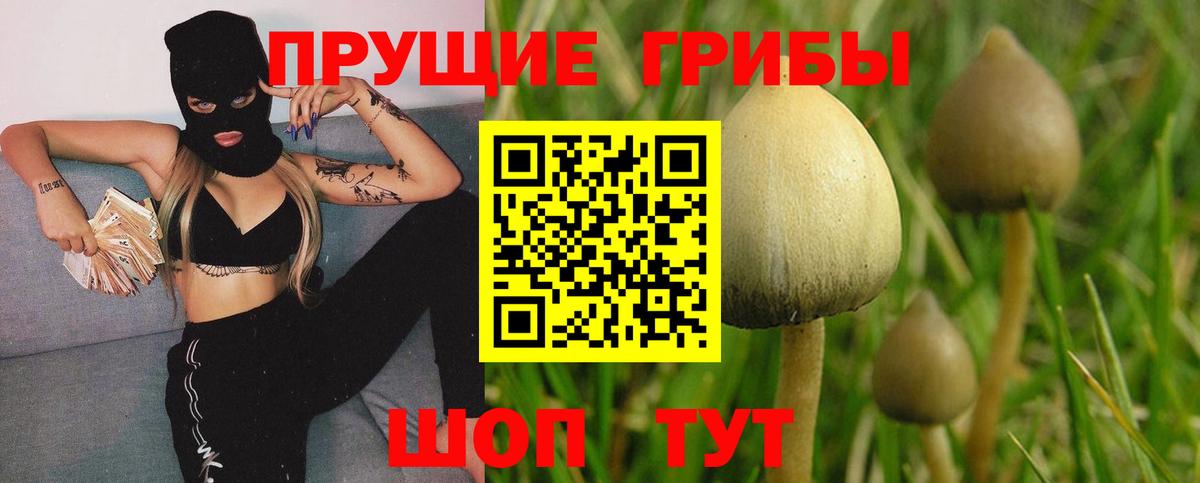 Галлюциногенные грибы MAGIC MUSHROOMS  Псилоцибиновые грибы GOLDEN TEACHER  Вход с VPN  Ачинск 